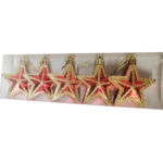 Refela Christmas Decorative Stars Set, 5 Pieces - Gold and Red